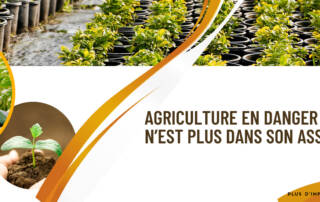 agriculture en danger