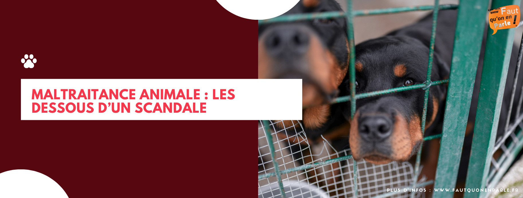 maltraitance animale