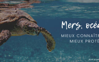 mers