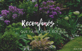 Reconfinés