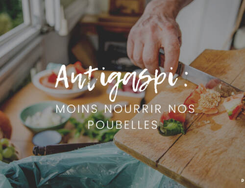 Antigaspi : moins nourrir nos poubelles