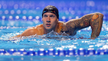 dressel dressel