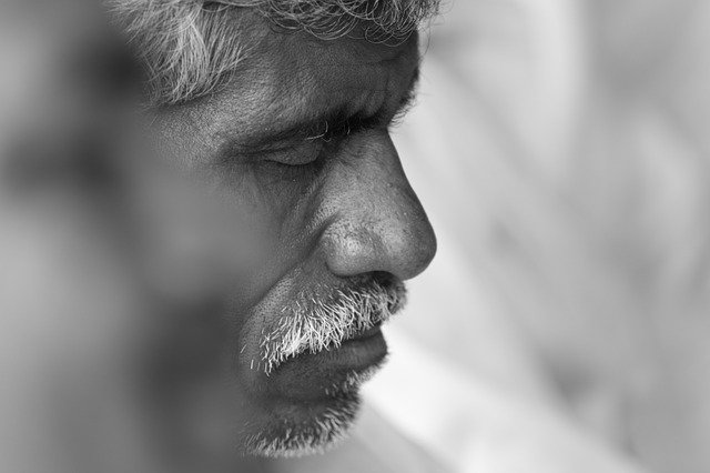 portrait-g20034c5c8_640