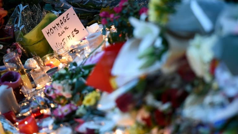 13 novembre