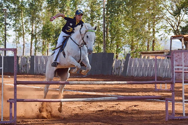 cheval