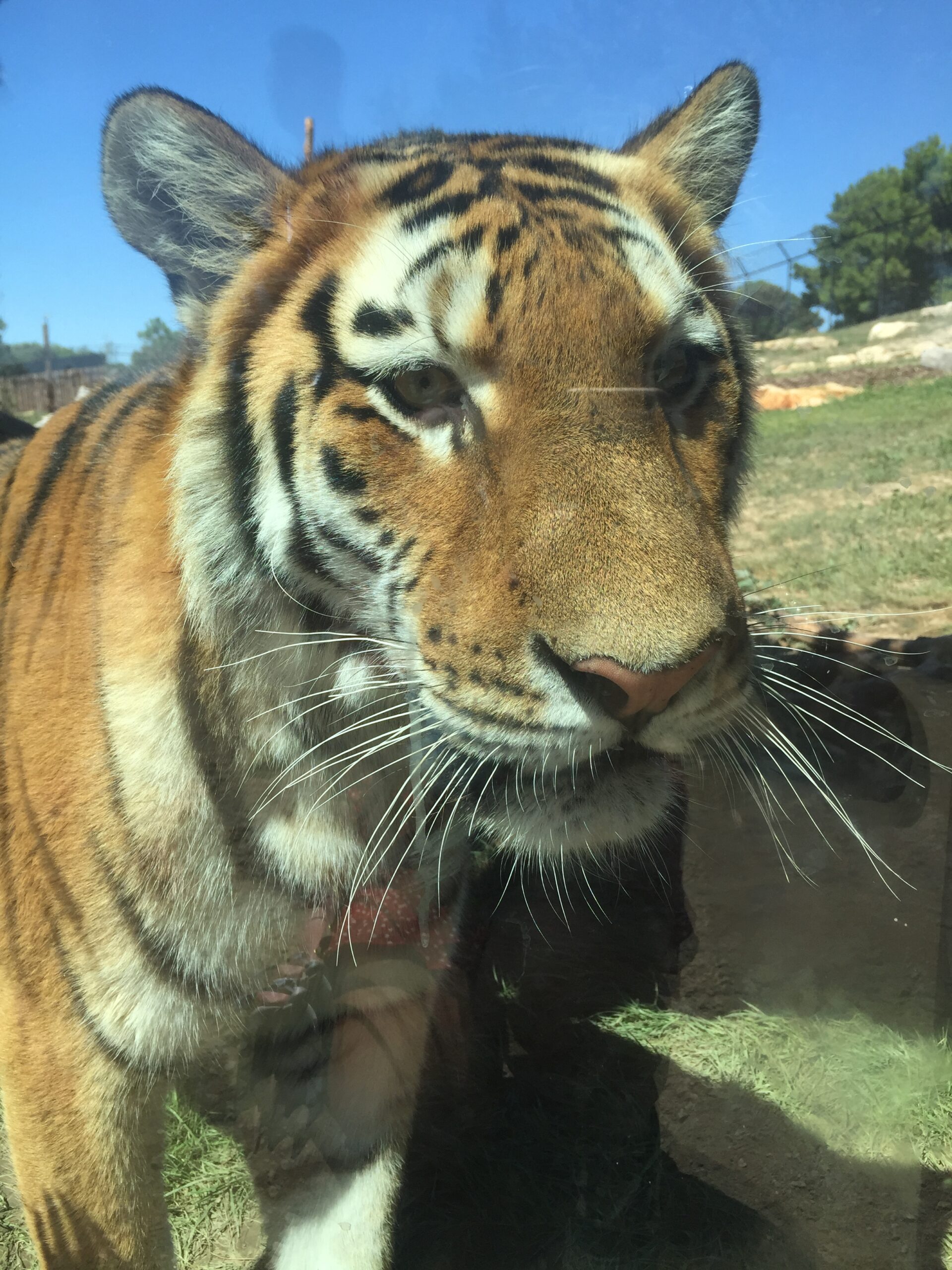 ZOO BARBEN