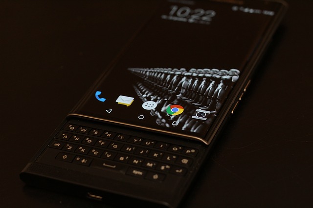 blackberry