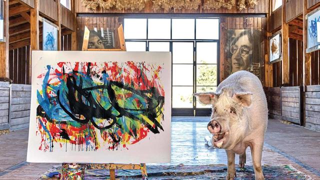 pigcasso