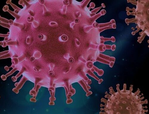 Un nouveau virus, le Langya-Henipavirus, découvert en Chine
