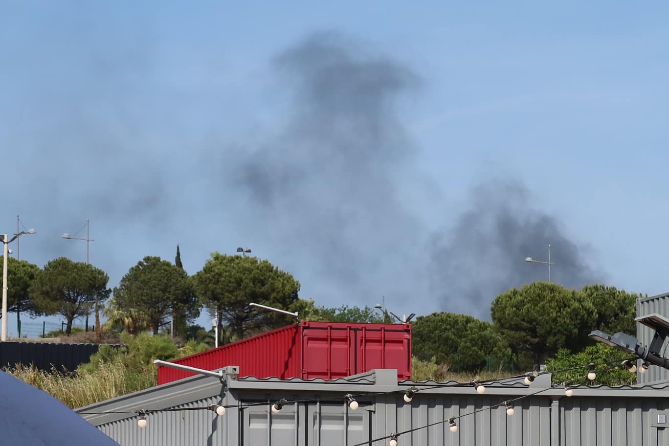 incendie forêt