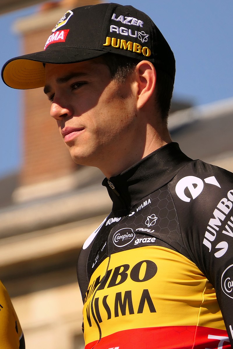 wout van hart