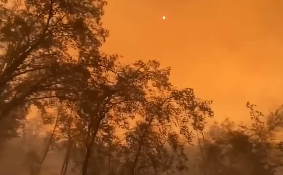 oakfire