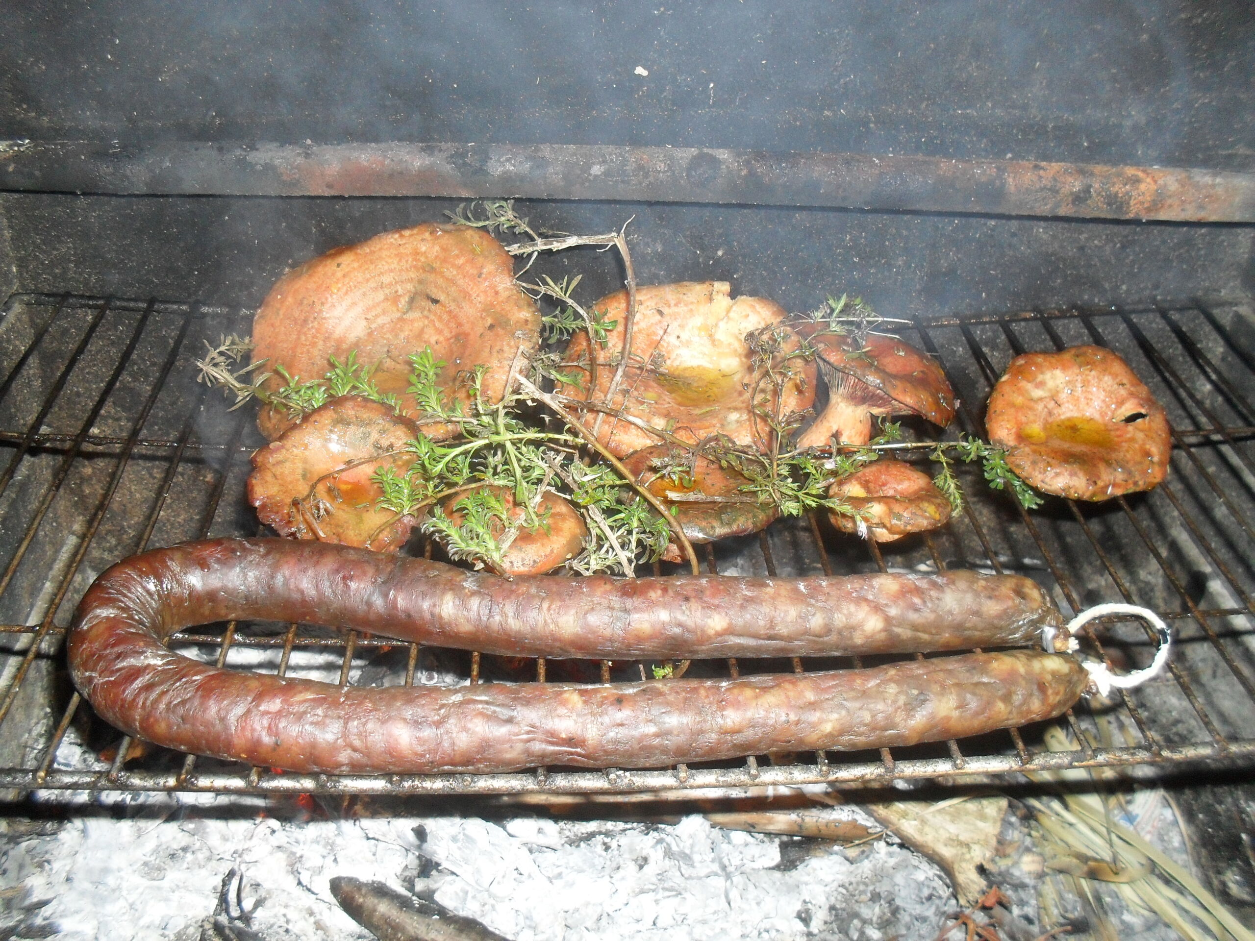 BARBECUE (2)