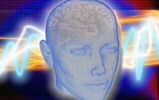 cerveau humain
