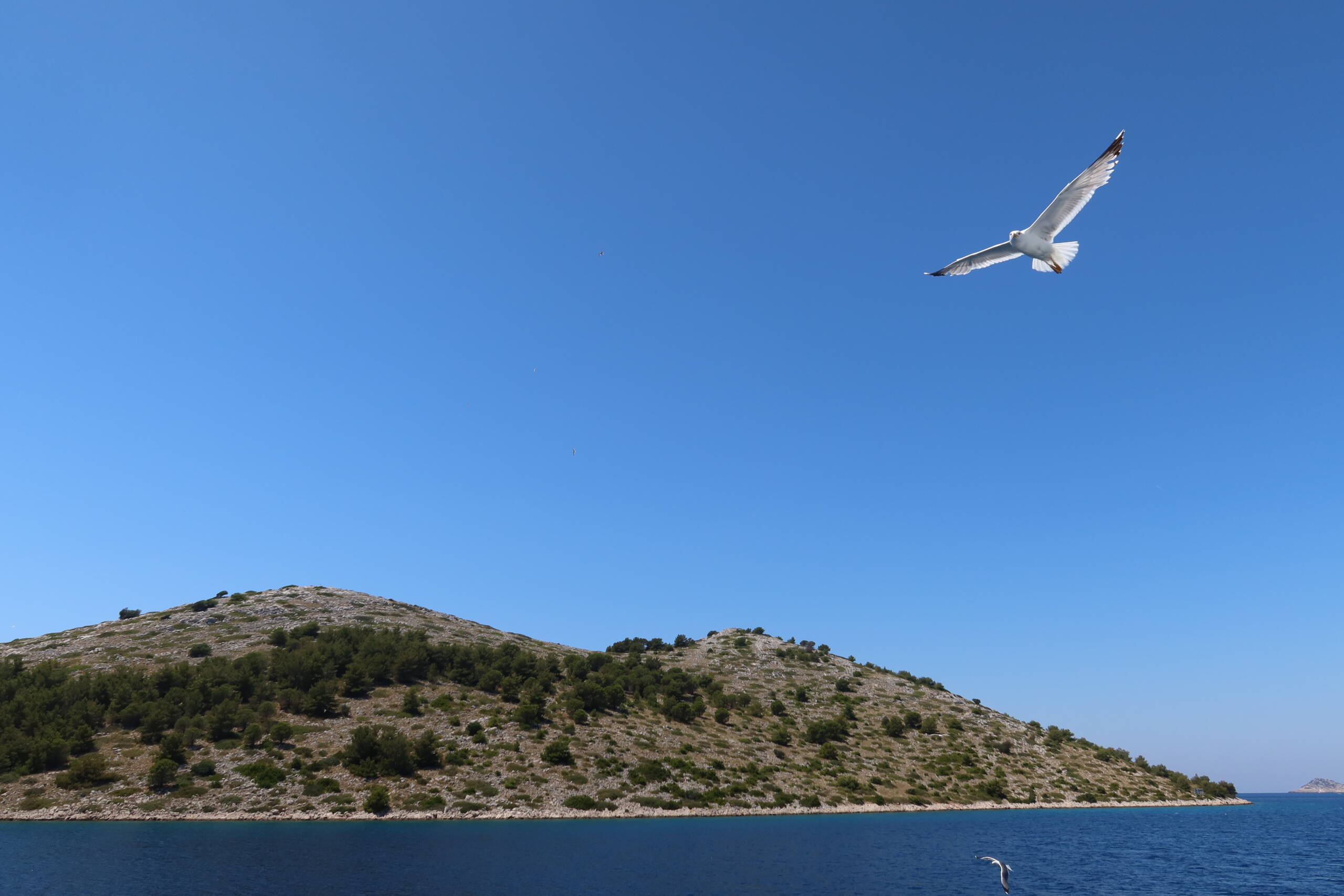 Zadar