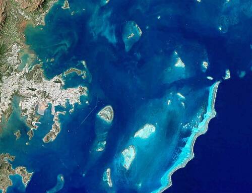 Nouméa : plages fermées pendant huit mois pour construire une barrière anti-requins