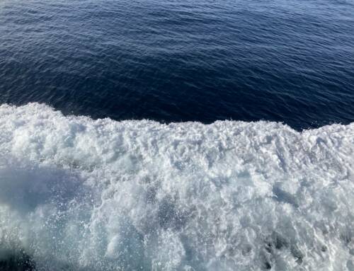 Un traité international de protection de la haute mer signé avec l’ONU