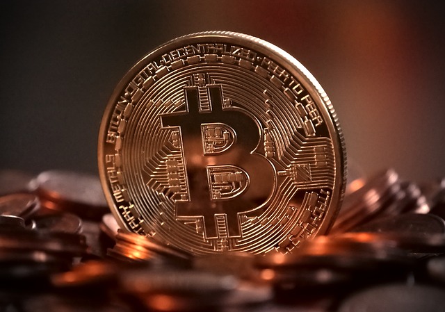 bitcoin 30 000$