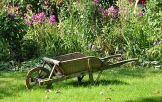 planter avril jardin plantes