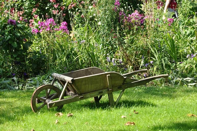 planter avril jardin plantes