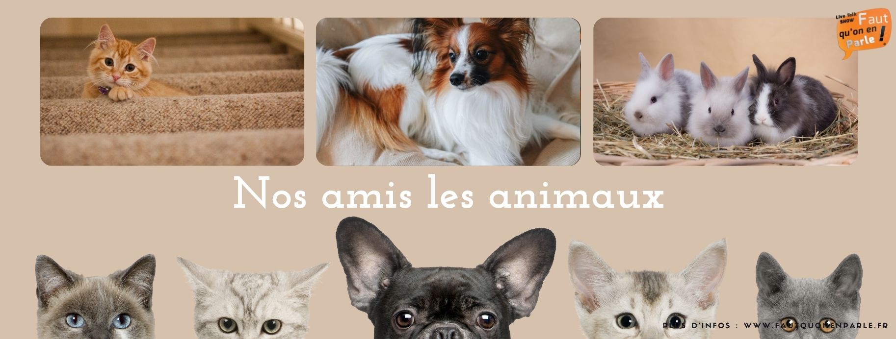 Nos amis les animaux