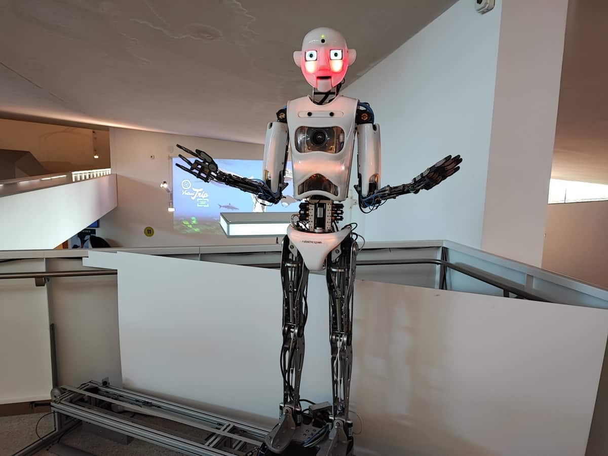 Amazon robots humanoïdes