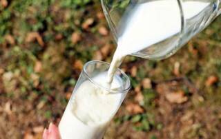 rappel lait Candia