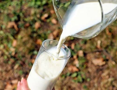 Rappel de bouteilles de lait Candia : ce que vous devez savoir sur cette alerte en France