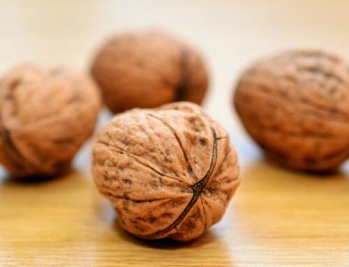 Utiliser les coquilles de noix au jardin : 5 astuces écologiques
