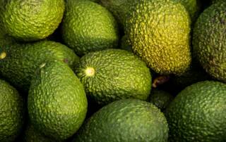 Les bienfaits de l'avocat et du citron un duo santé à découvrir