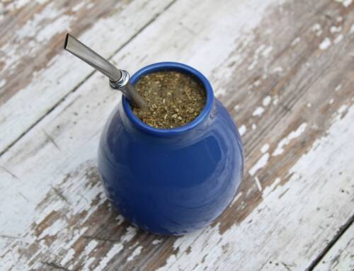 YERBA MATE (Ilex paraguariensis Saint Hillaire) ET SES BIENFAITS POUR LA SANTÉ