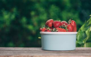 Le fraise n’est pas un fruit mais elle est bénéfique pour la santé
