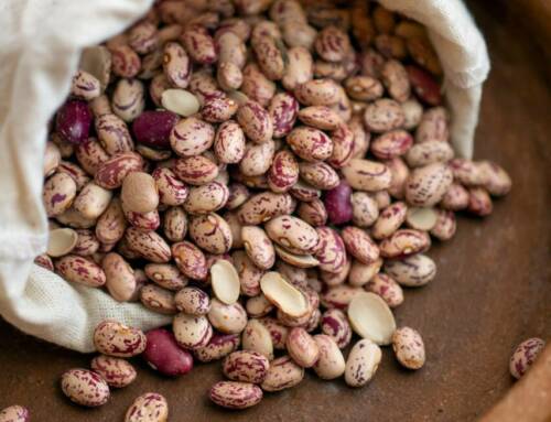 Et si votre whey protéinée venait… du haricot ?