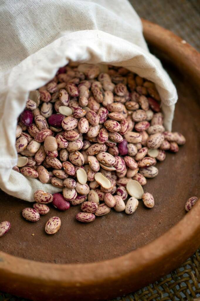 Et si votre whey protéinée venait… du haricot