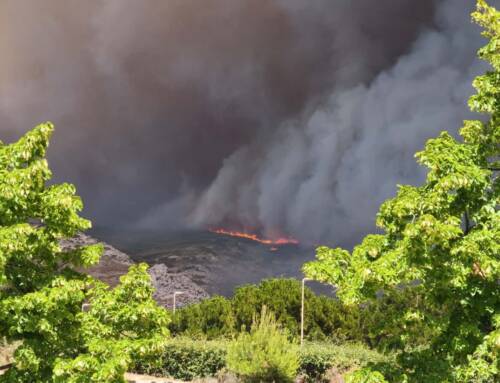 Incendie à Martigues ce samedi soir : 1,5 hectare parcouru, intervention toujours en cours