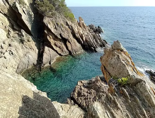 Naturisme et essais militaires : l’Ile du Levant…