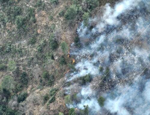 Le risque incendie dans le Var expliqué par la règle des « trois 30 »