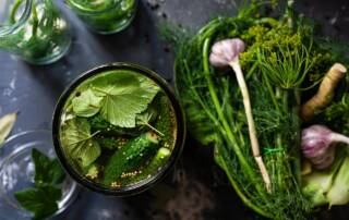 La boisson de l’été que personne n’attendait la limonade aux cornichons de Dua Lipa !