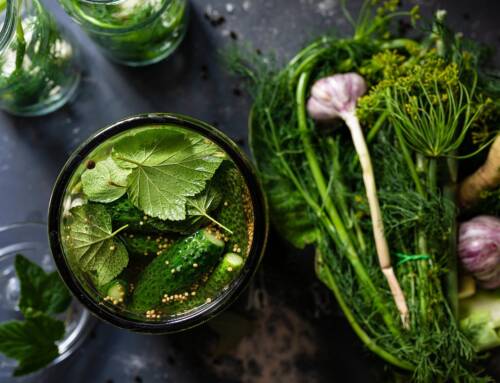 La boisson de l’été que personne n’attendait la limonade aux cornichons de Dua Lipa !