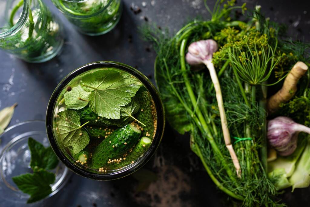 La boisson de l’été que personne n’attendait la limonade aux cornichons de Dua Lipa !