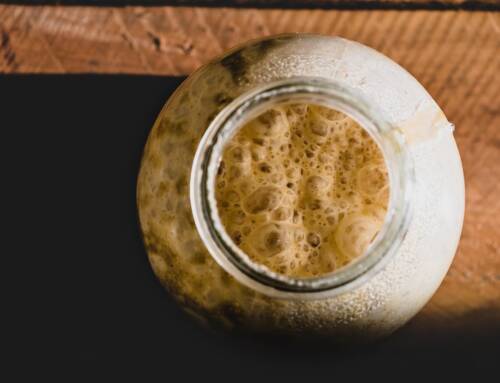 La levure nutritionnelle : un superaliment aux multiples vertus