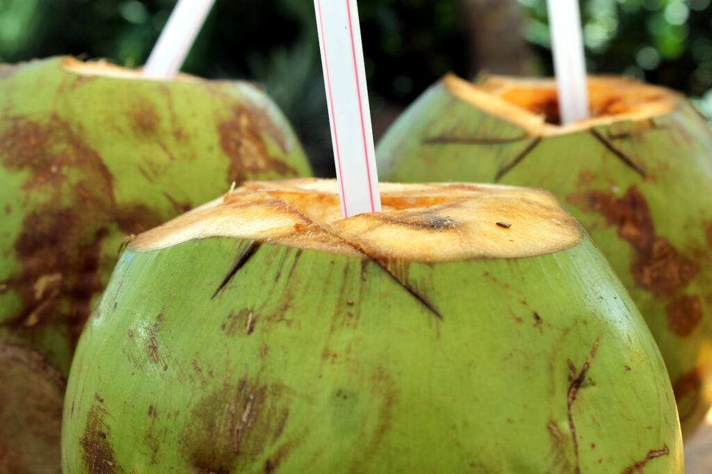 L'eau de coco bien plus qu'une simple boisson rafraîchissante