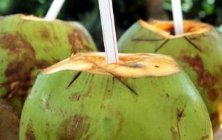 L'eau de coco bien plus qu'une simple boisson rafraîchissante