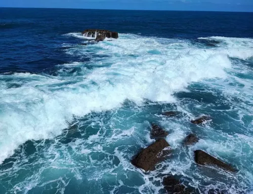Mistral dans le Var : pourquoi la température de la mer chute brusquement ?