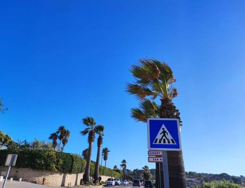 Mistral et chaleur persistante ce dimanche 6 juillet dans le Var