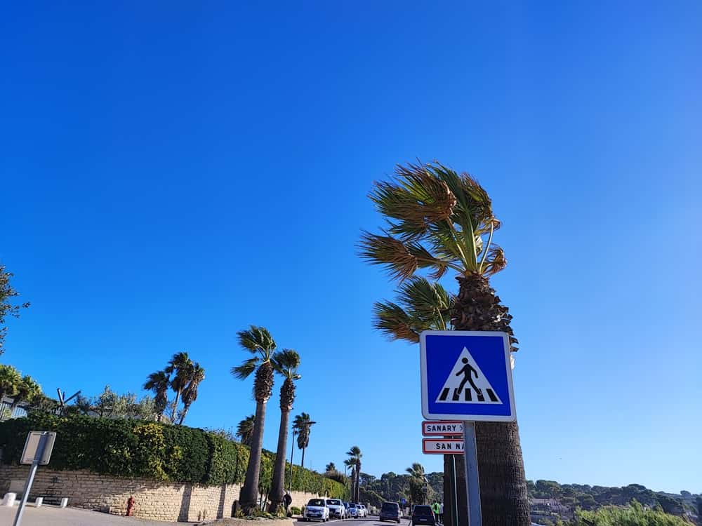 Retour du froid dans le Var traitement biologique des palmiers bandol vents forts vigilance jaune var vent violent froid var var froid