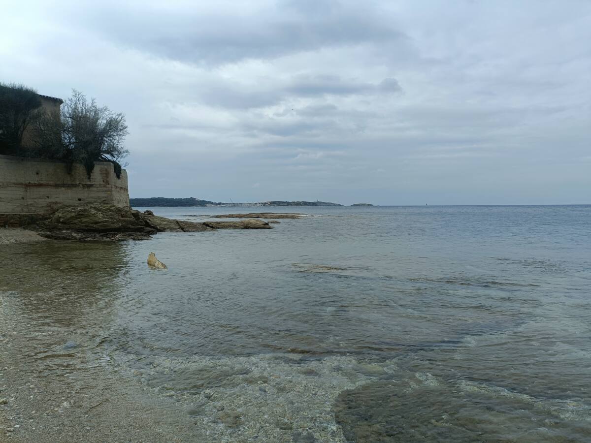 upwelling Méditerranée température