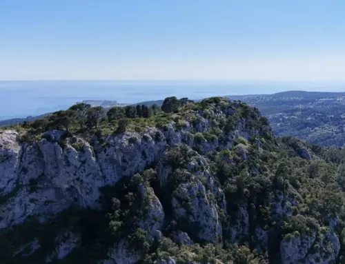 Un samedi 26 juillet estival sans nuage dans le Var avec mistral localisé et températures en hausse