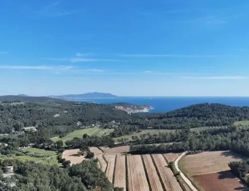 Le soleil règne sur le Var avec une journée estivale idéale et des températures en hausse