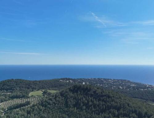 Chaleur persistante et vigilance jaune canicule dans le Var jusqu’au 17 juillet